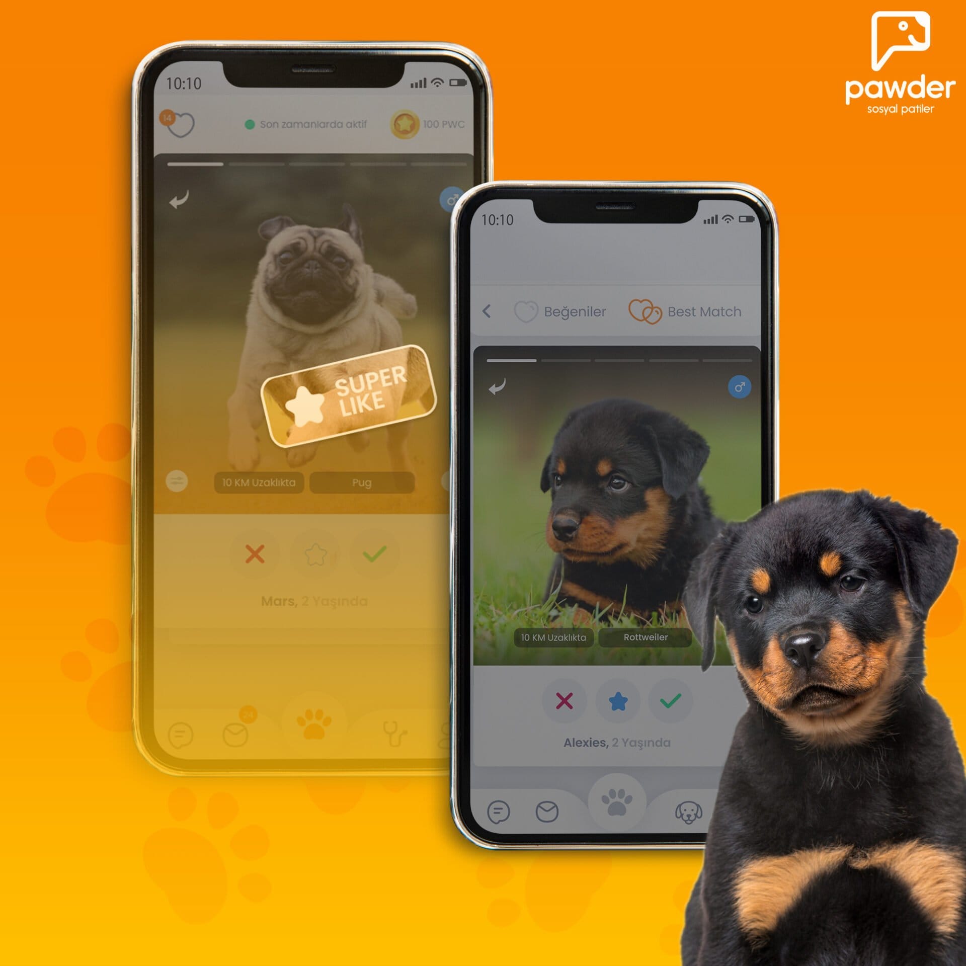 Pawder Mobil Uygulama