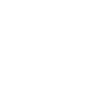 ford otosan logo